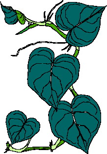 animated-leaf-image-0223