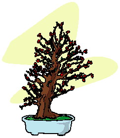 animated-bonsai-tree-image-0003