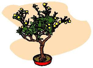 animated-bonsai-tree-image-0020