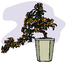 animated-bonsai-tree-image-0021