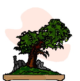 animated-bonsai-tree-image-0022