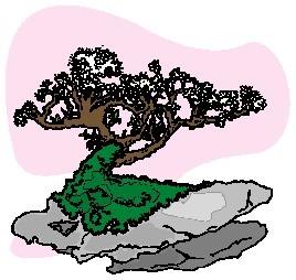 animated-bonsai-tree-image-0036