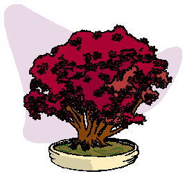 animated-bonsai-tree-image-0044