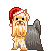 animated-christmas-animal-image-0066