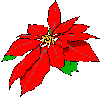 animated-christmas-flower-image-0001