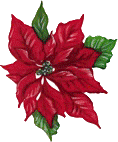 animated-christmas-flower-image-0012