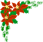 animated-christmas-flower-image-0014
