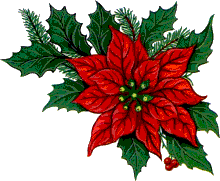 animated-christmas-flower-image-0024