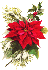 animated-christmas-flower-image-0030