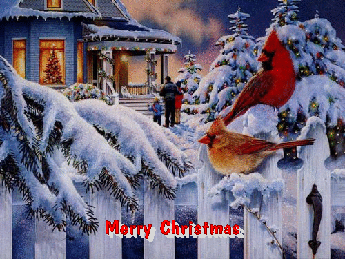 animated-christmas-wish-image-0043