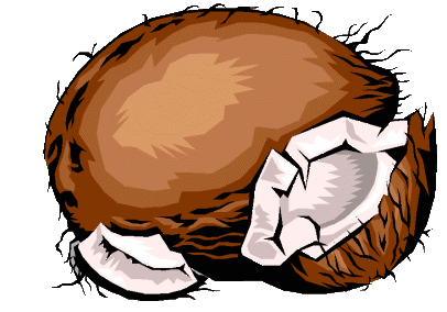 animated-coconut-image-0012