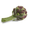 animated-artichoke-image-0006