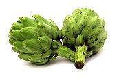 animated-artichoke-image-0011