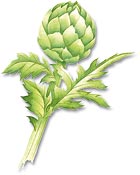 animated-artichoke-image-0013