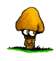 animated-mushroom-image-0017