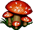 animated-mushroom-image-0030