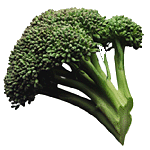 animated-broccoli-image-0014