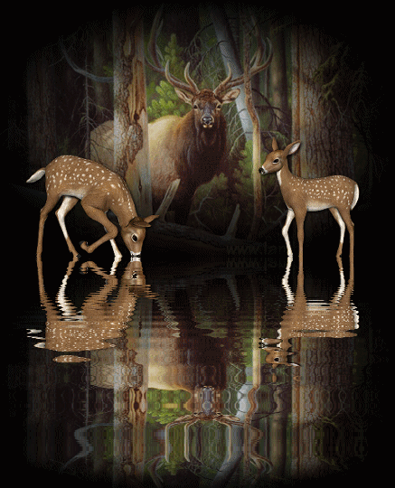 animated-deer-image-0002