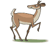 animated-deer-image-0022