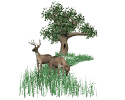 animated-deer-image-0026