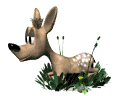 animated-deer-image-0060