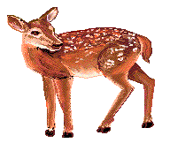 animated-deer-image-0061