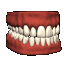 animated-dentist-image-0029