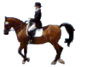 animated-dressage-image-0002