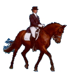 animated-dressage-image-0026