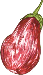 animated-eggplant-and-aubergine-image-0012