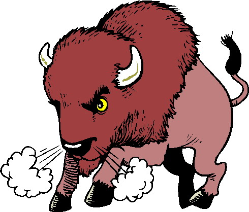 animated-buffalo-image-0003