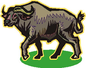animated-buffalo-image-0035