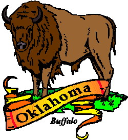 animated-buffalo-image-0070
