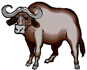 animated-buffalo-image-0077