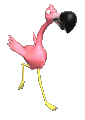 animated-flamingo-image-0003