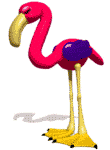 animated-flamingo-image-0019
