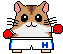 animated-guinea-pig-image-0068