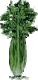 animated-herb-and-spice-image-0019