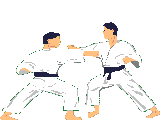 animated-judo-image-0010