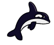 animated-killer-whale-image-0002