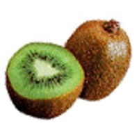 animated-kiwi-image-0008