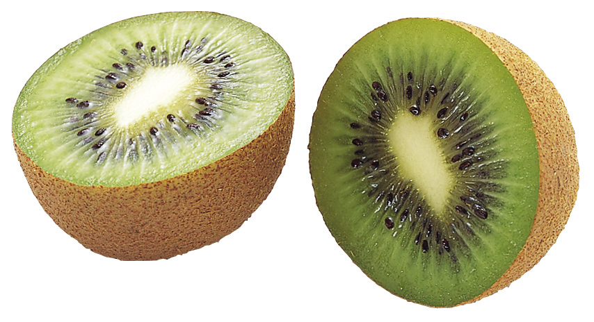 animated-kiwi-image-0009