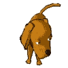 ▷ Animals: Animated Images, Gifs, Pictures & Animations - 100% FREE! ▷ Animals: Animated Images, Gifs, Pictures & Animations - 100% FREE!