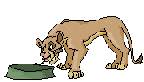 animated-lion-king-image-0054