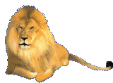 animated-lion-image-0046