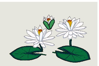 animated-water-lily-image-0008