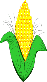 animated-corn-image-0009