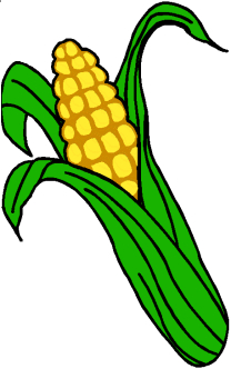 animated-corn-image-0020