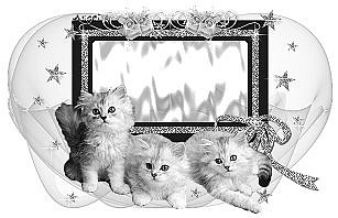 animated-nameplate-image-0038