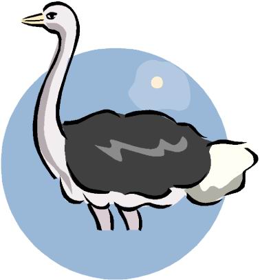 animated-ostrich-image-0015